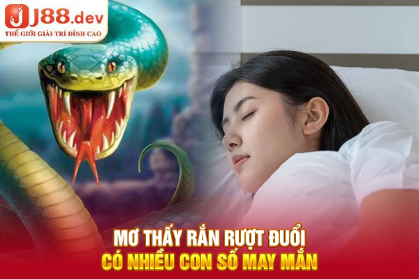 Mơ thấy rắn rượt đuổi có nhiều con số may mắn